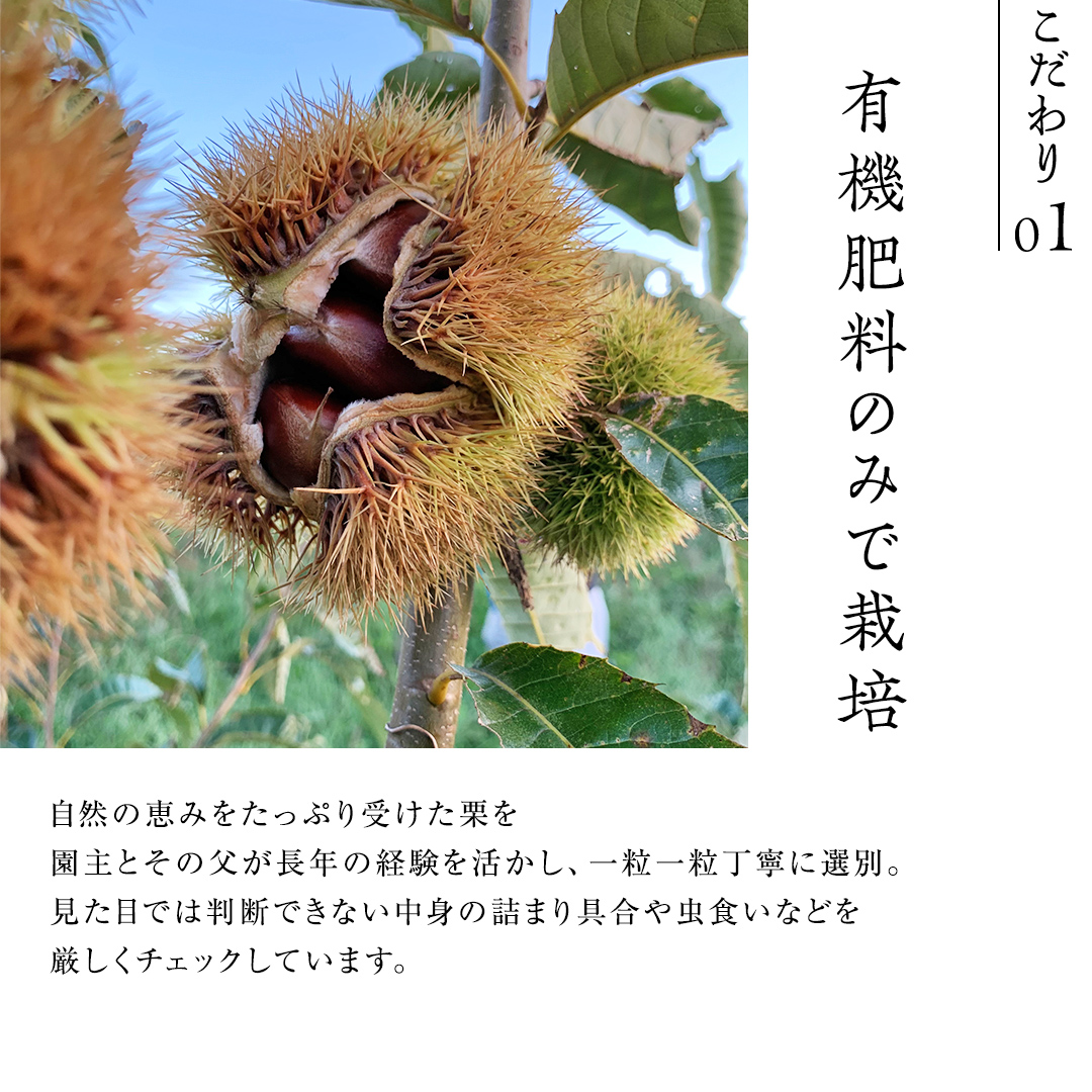 熟成で糖度の上がった 粗むき栗 1kg (200g × 5) ( 冷凍真空包装