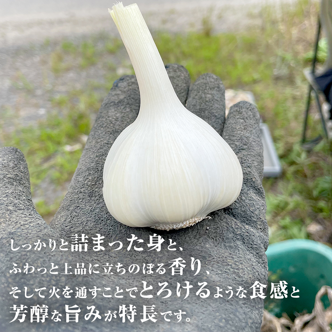 超芳醇 つくばみらいの土が育んだ 最上級ニンニク 1kg つく