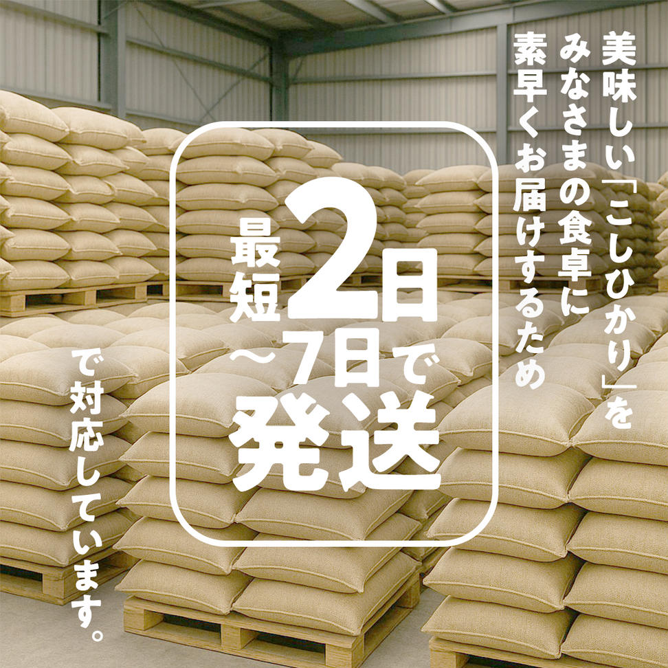 ＼ 最短 2日で発送 ／ コシヒカリ 15kg 令和6年産精米【 数量