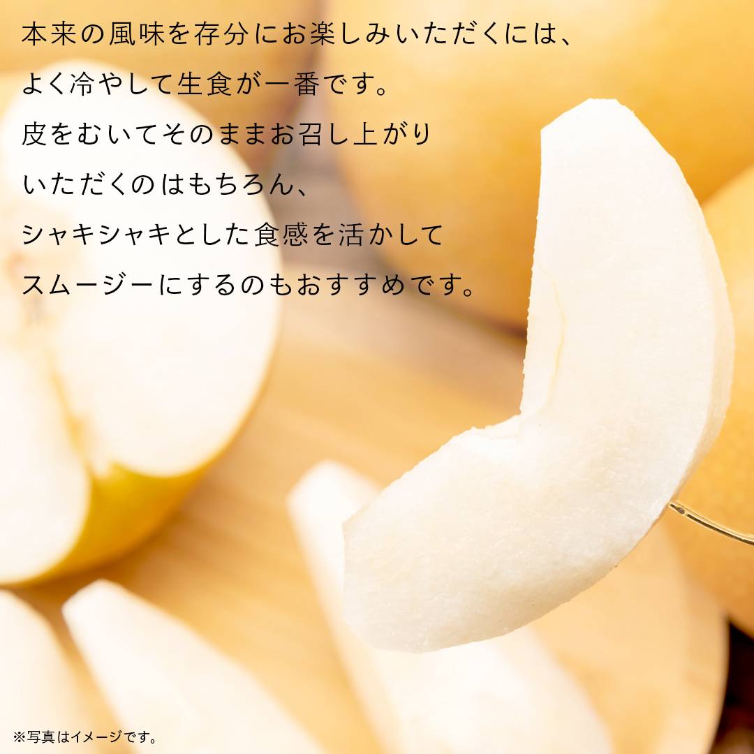 にっこり 梨 5kg （7～10玉）【2025年10月より発送開始】（茨