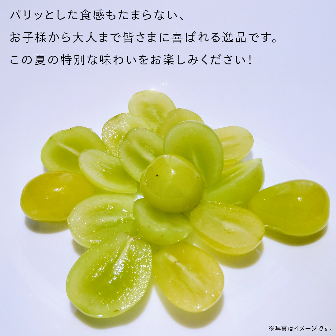 シャインマスカット 5kg （8～12房）【2025年9月より発送開始