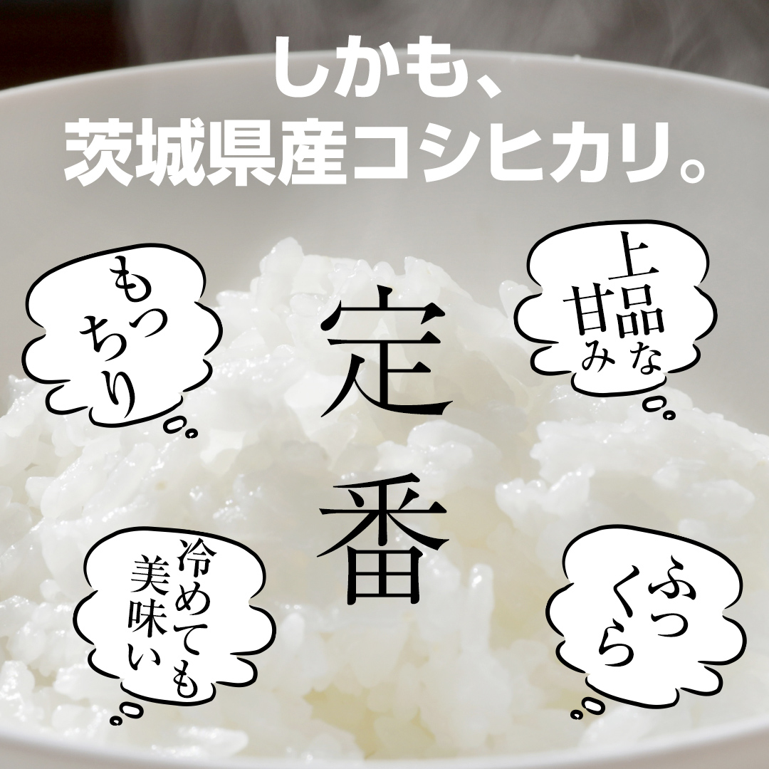 ＼ 最短翌日発送 ／【 お試しサイズ 】 コシヒカリ 600g (600g