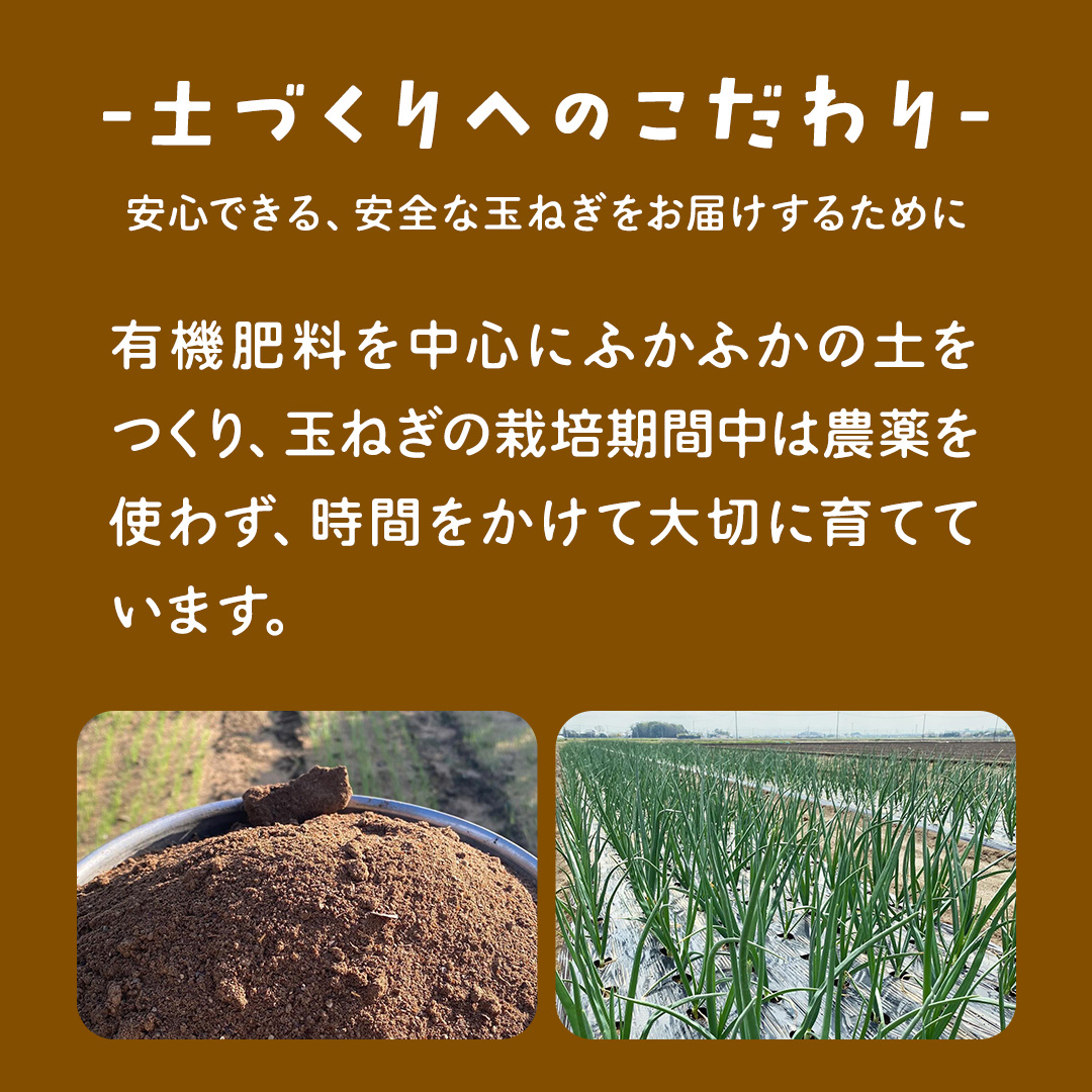 【先行予約】つくばみらい市産たまねぎ 5kg （七宝甘70）保