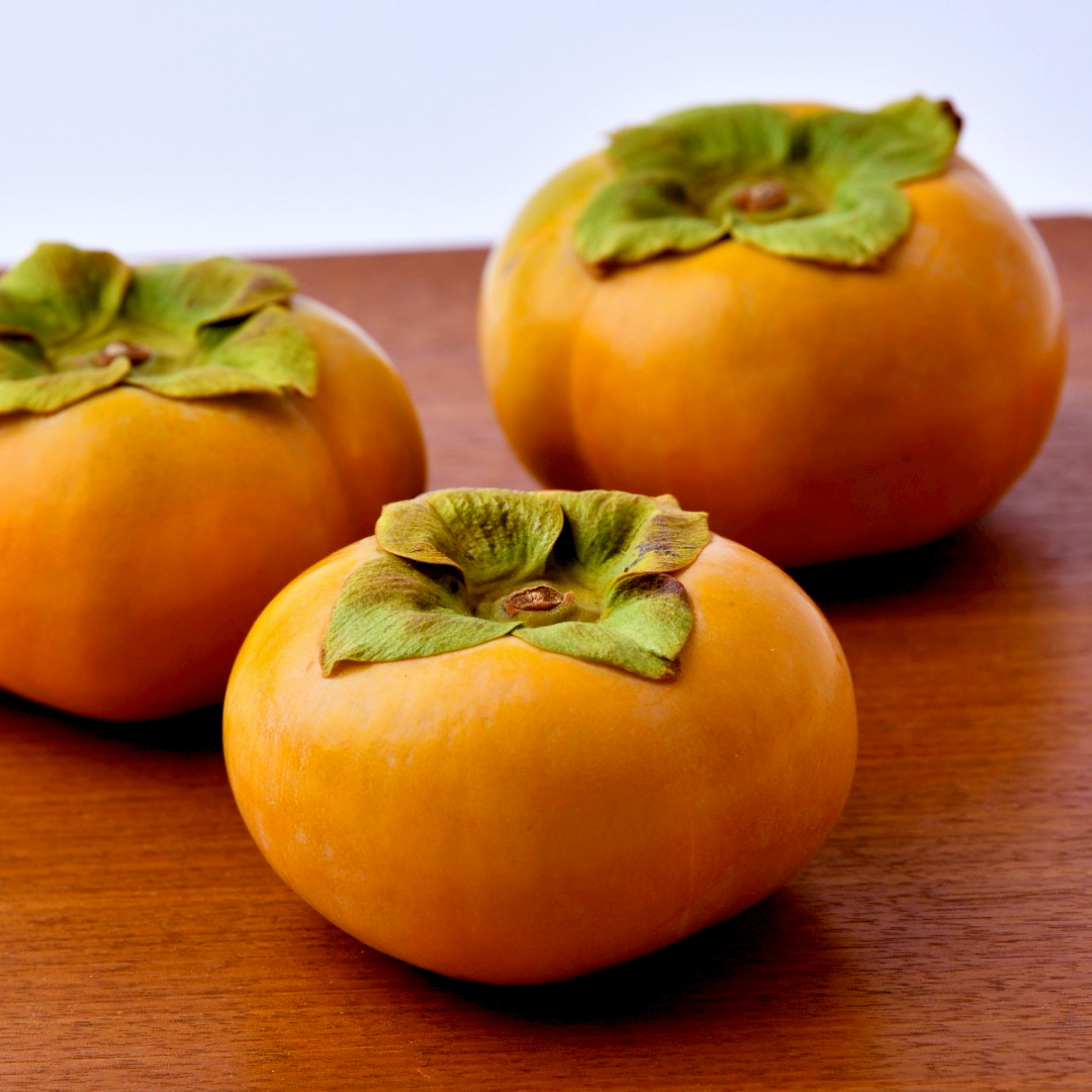 富有柿 2L以上 約10kg【2026年10月より発送開始】（茨城県共通