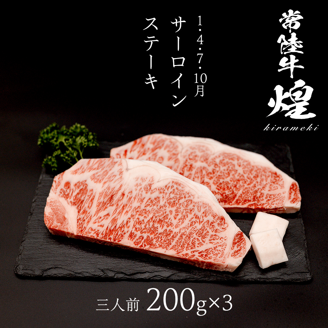 【定期便】＜全3回＞ 【 常陸牛 煌 】 ステーキ 堪能セット 