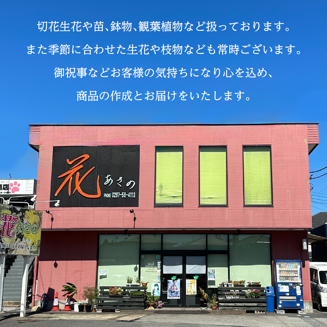 季節の寄せかご（中） 花 お花 フラワー 誕生日 プレゼント