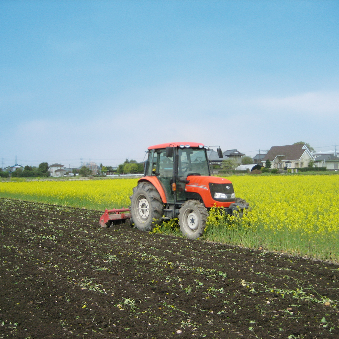 令和7年産 コシヒカリ ( 精米 5kg ) 特別栽培 菜の花米 「菜菜