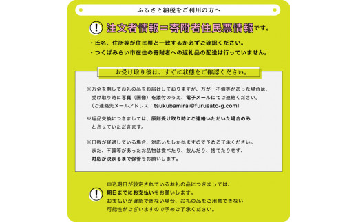 赤いちごと白いちごの宝石箱　【令和6年12月から順次お届