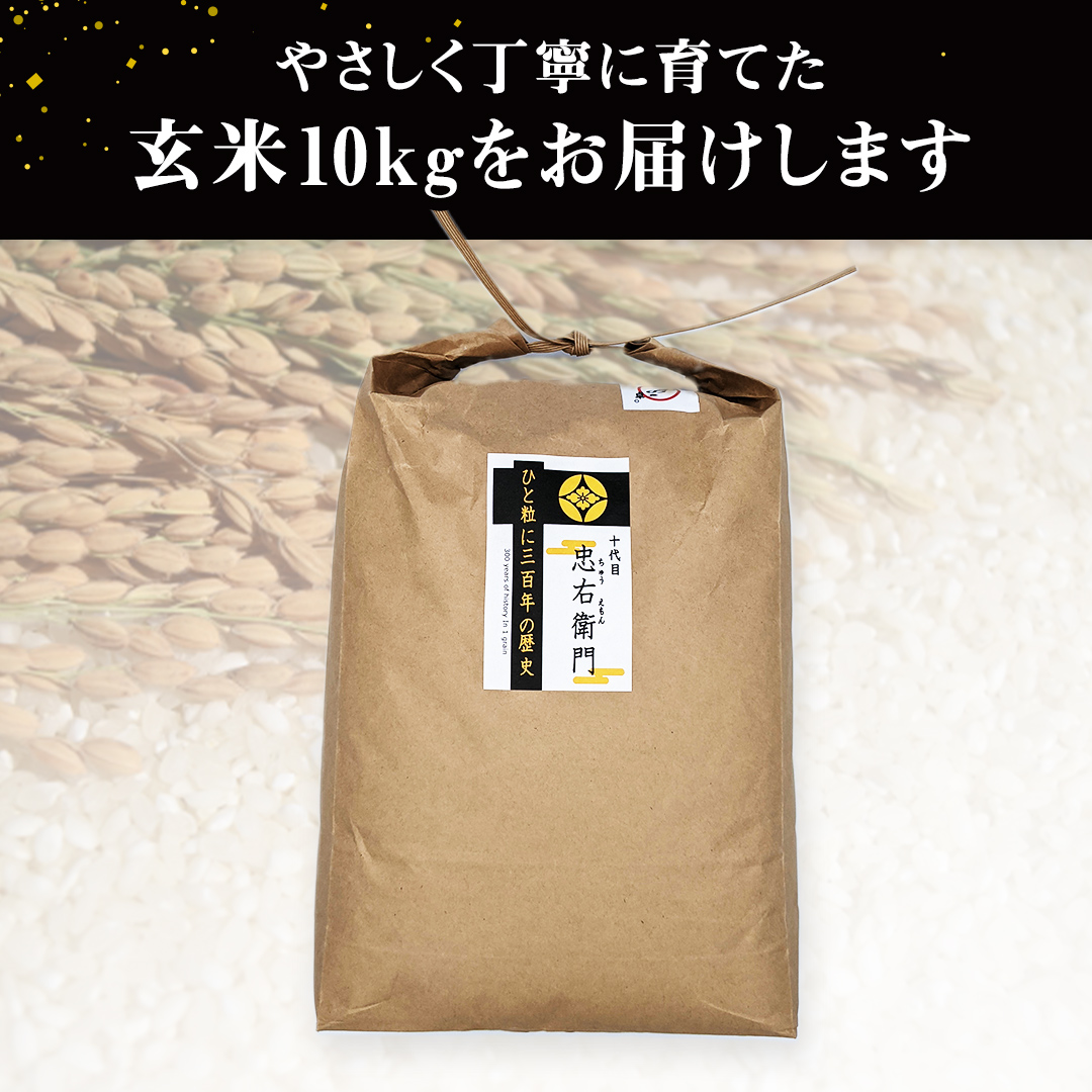 【 先行予約 】＜ 令和6年産 ＞ 三百年続く農家の有機特別