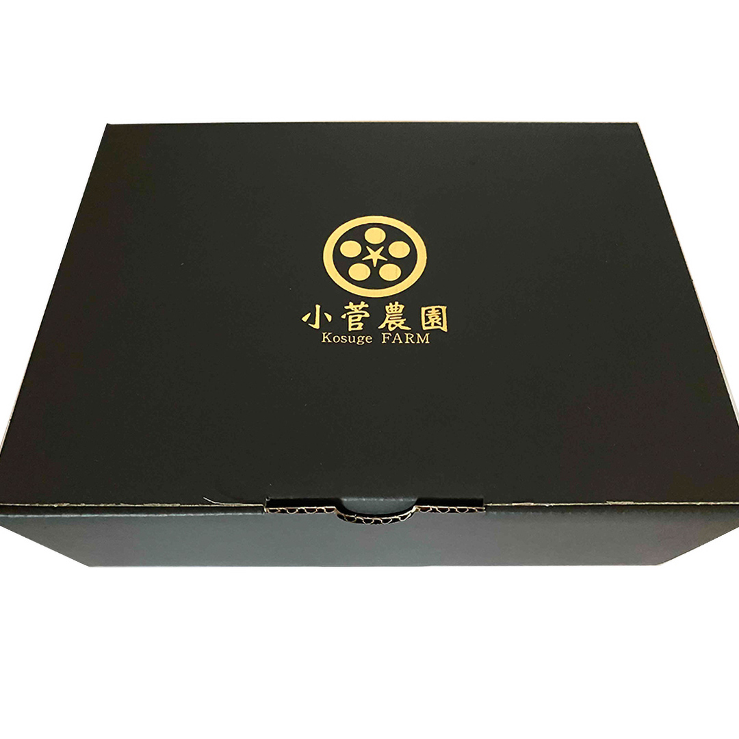 ミニトマト（マドンナ）約1kg 【1月下旬発送開始】 ミニト