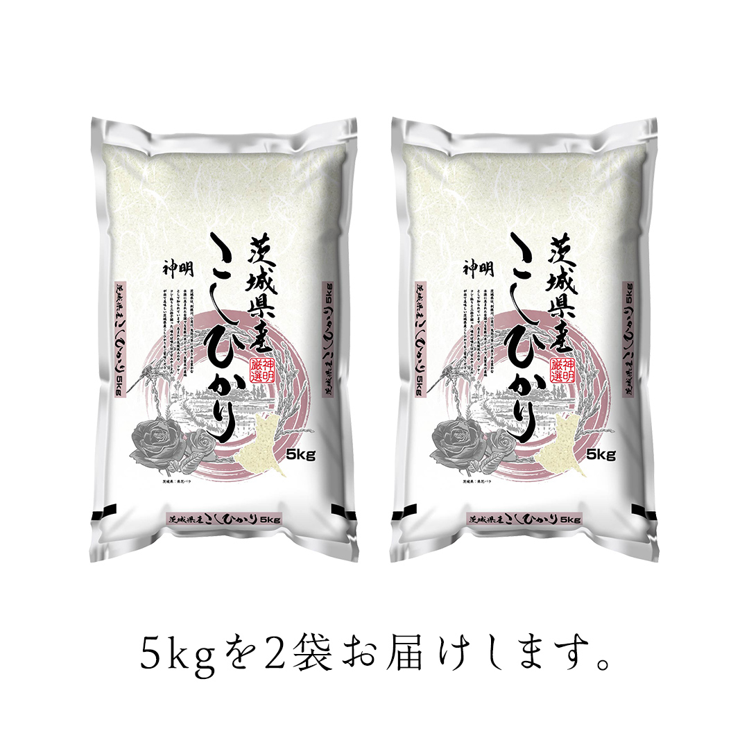 【 新米 】 令和7年産 茨城 こしひかり 10kg（ 5kg × 2本 ） 精