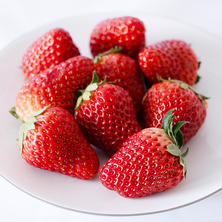 【 定期便 】 合計3kgお届け いちご の3ヶ月連続お届け便 （1