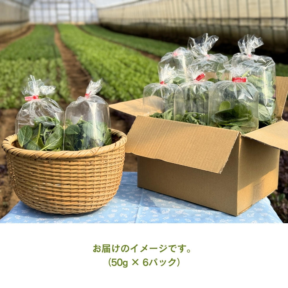 黒澤農園 の ベビーリーフサラダ （ 50g × 6パック ） 使い切