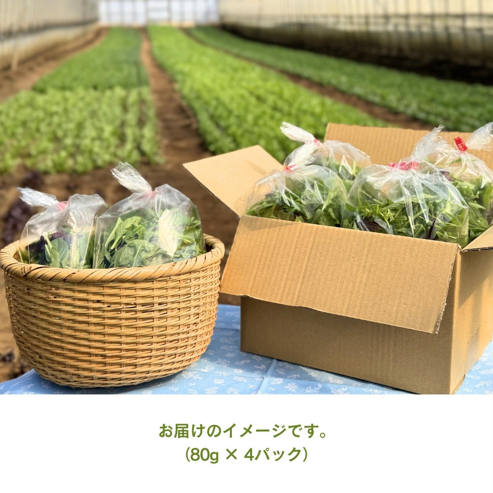 黒澤農園 の ベビーリーフサラダ （ 80g × 4パック ）ファミ