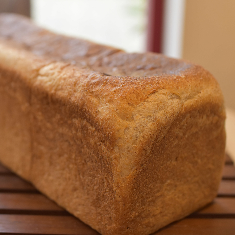 全粒粉 食パン 2本（3斤分×2）【 国産小麦粉 国産全粒粉 】