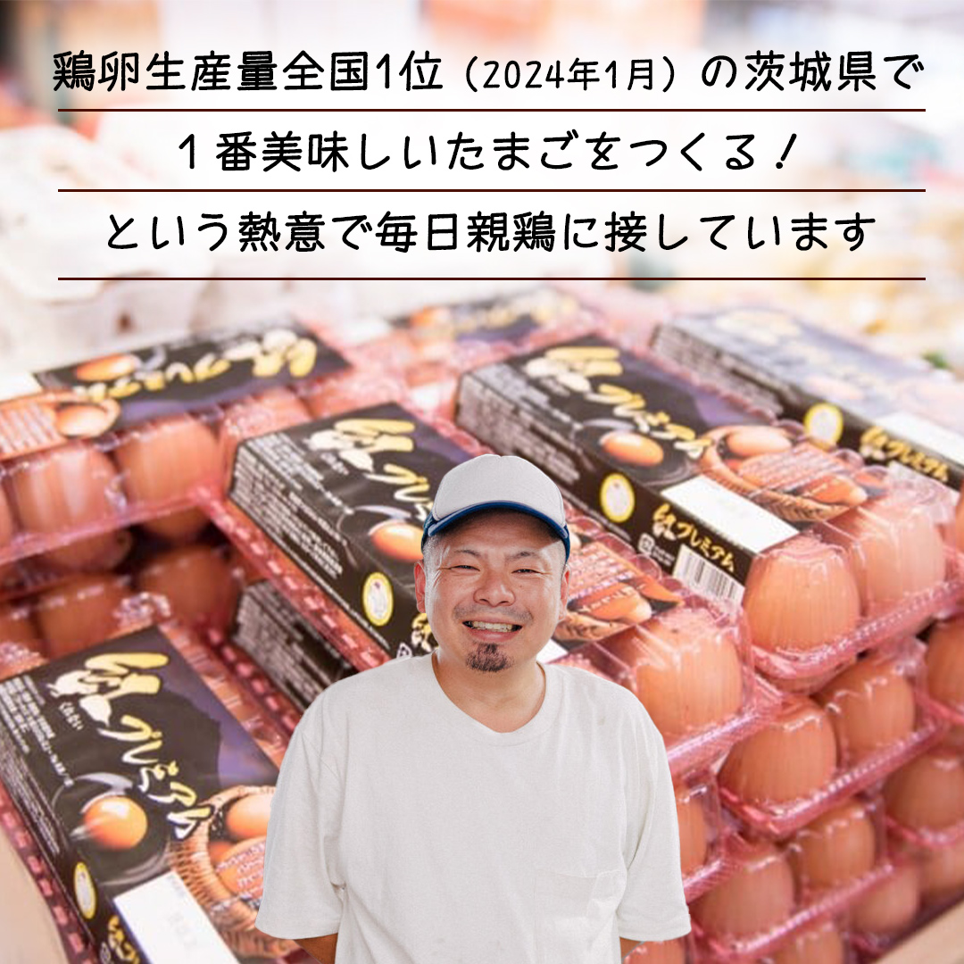 【 定期便 】【 全3回 コース 】紅プレミアム 卵 30個 （ 25個