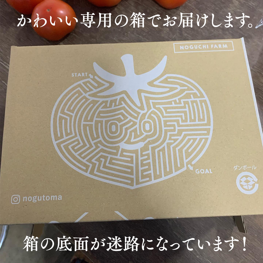 野口農園 ！ ぜいたく トマト ＆ ミニトマト ＆ 中玉 セット