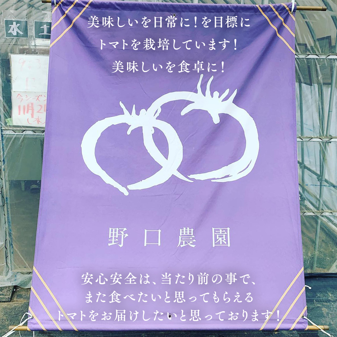 【2024年11月から発送開始】 華クイン！プチぷよ！自慢のフ