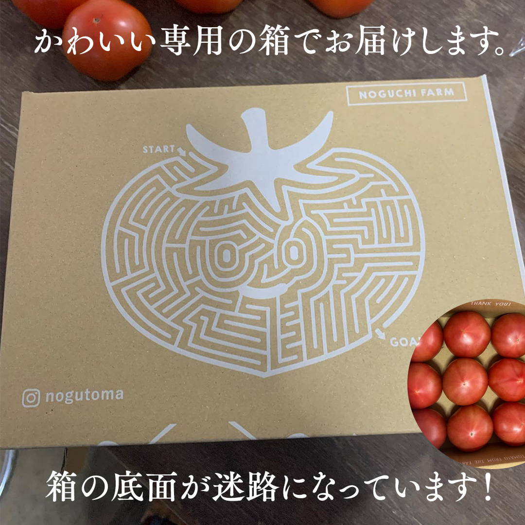 野口農園！ 王様トマト 約2kg ( 8～12個入り )！ ごほうび・麗
