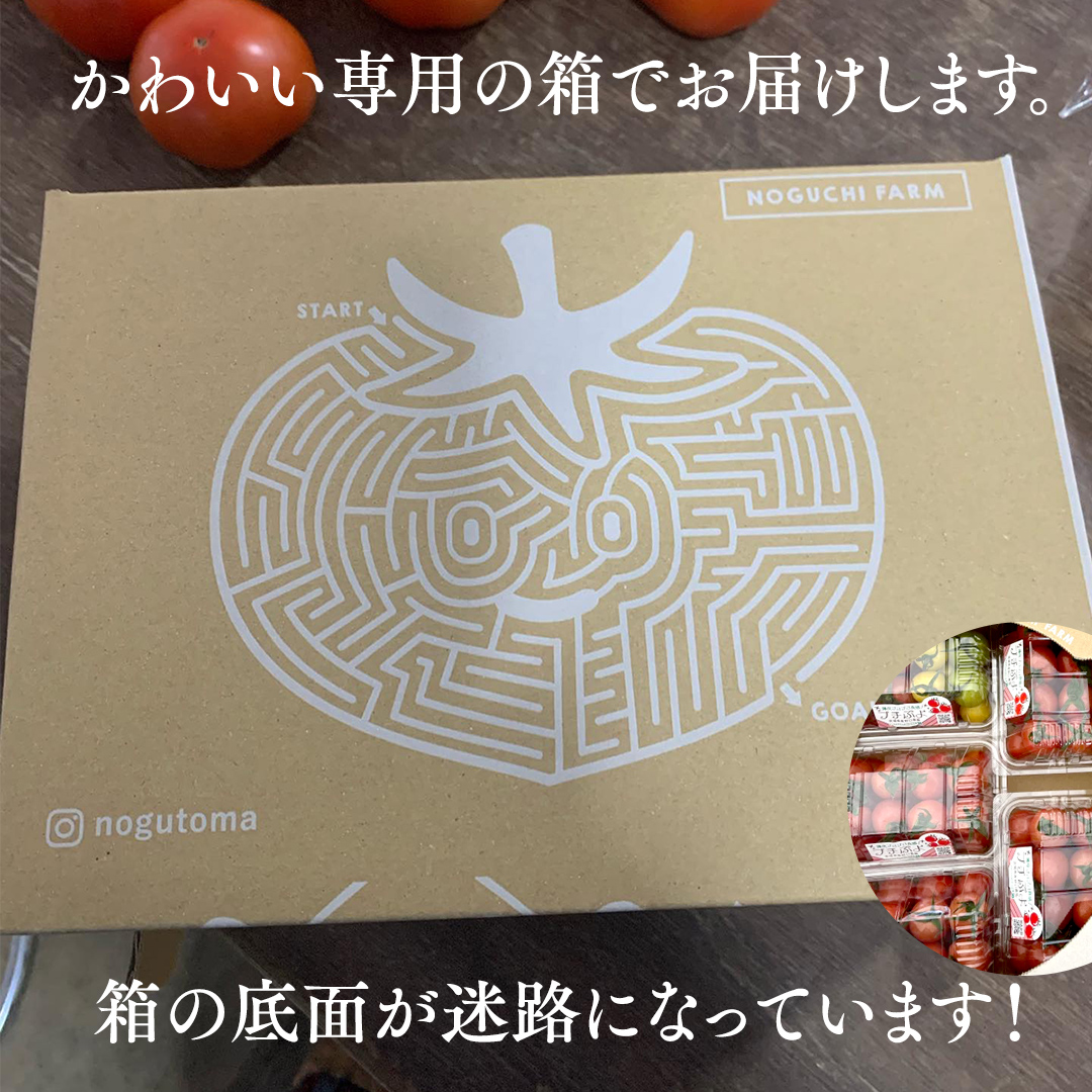 プチぷよ ミニトマト 合計約2kg （約200g × 10パック） トマト