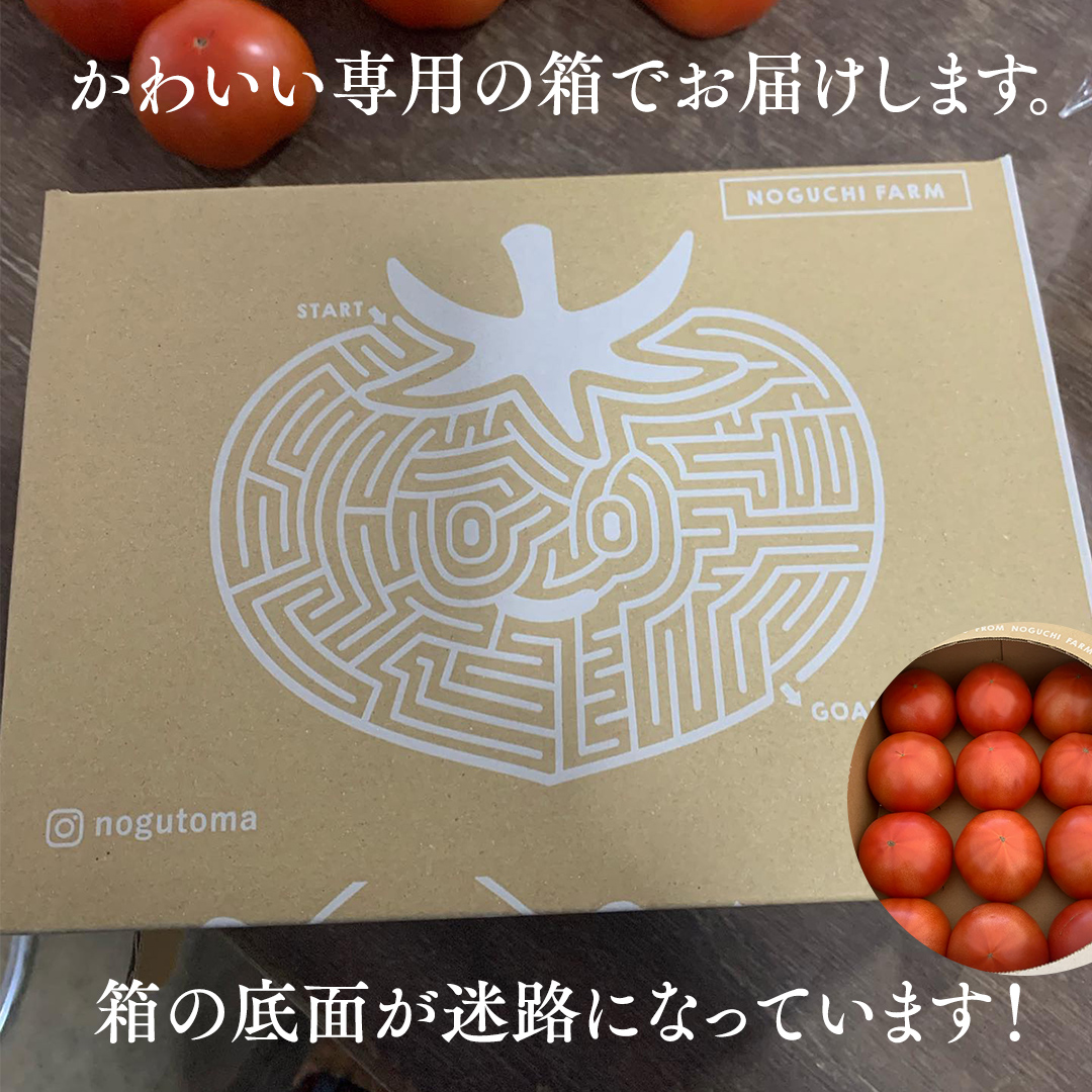 ぜいたくトマト！ 約2kg × 2 合計 約4kg ( 18～24個 ) トマト 大