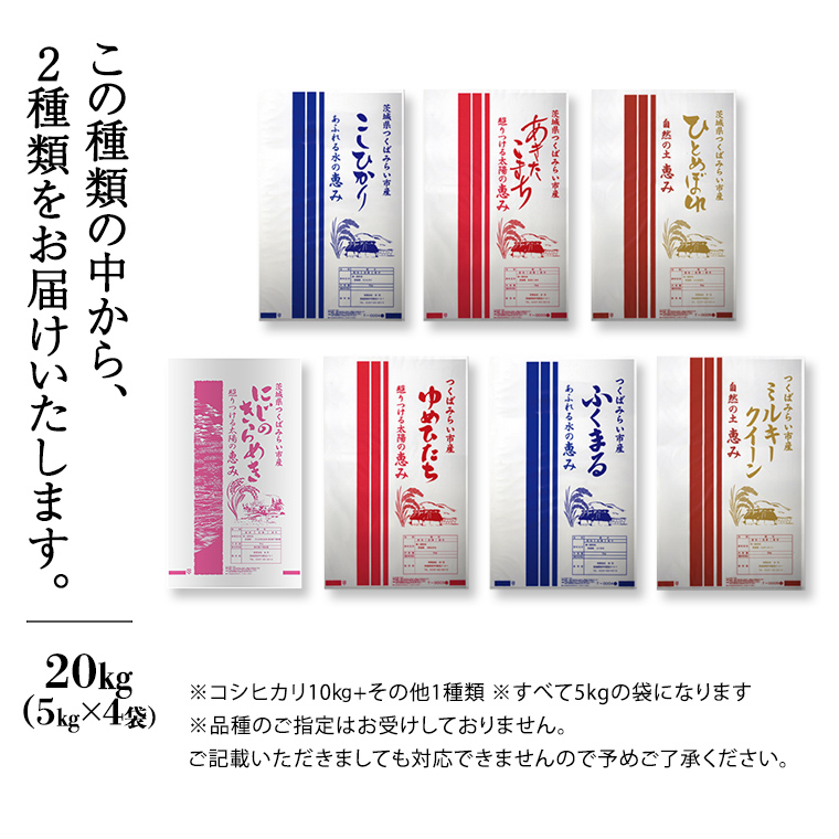 【新米先行予約開始！ / 11月上旬出荷分】《 令和6年産 》茨