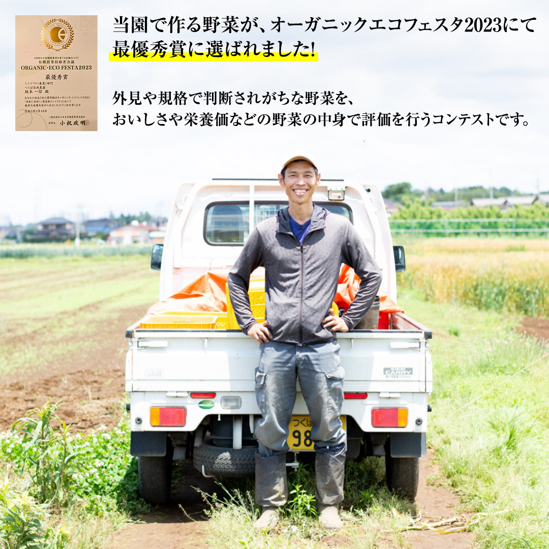 黒にんにく ( フルーツガーリック ） 詰め合わせ 250g （10〜1