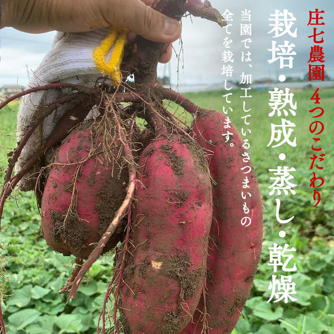 【2026年1月から発送開始】「庄七農園」自慢の 【 特選 】丸