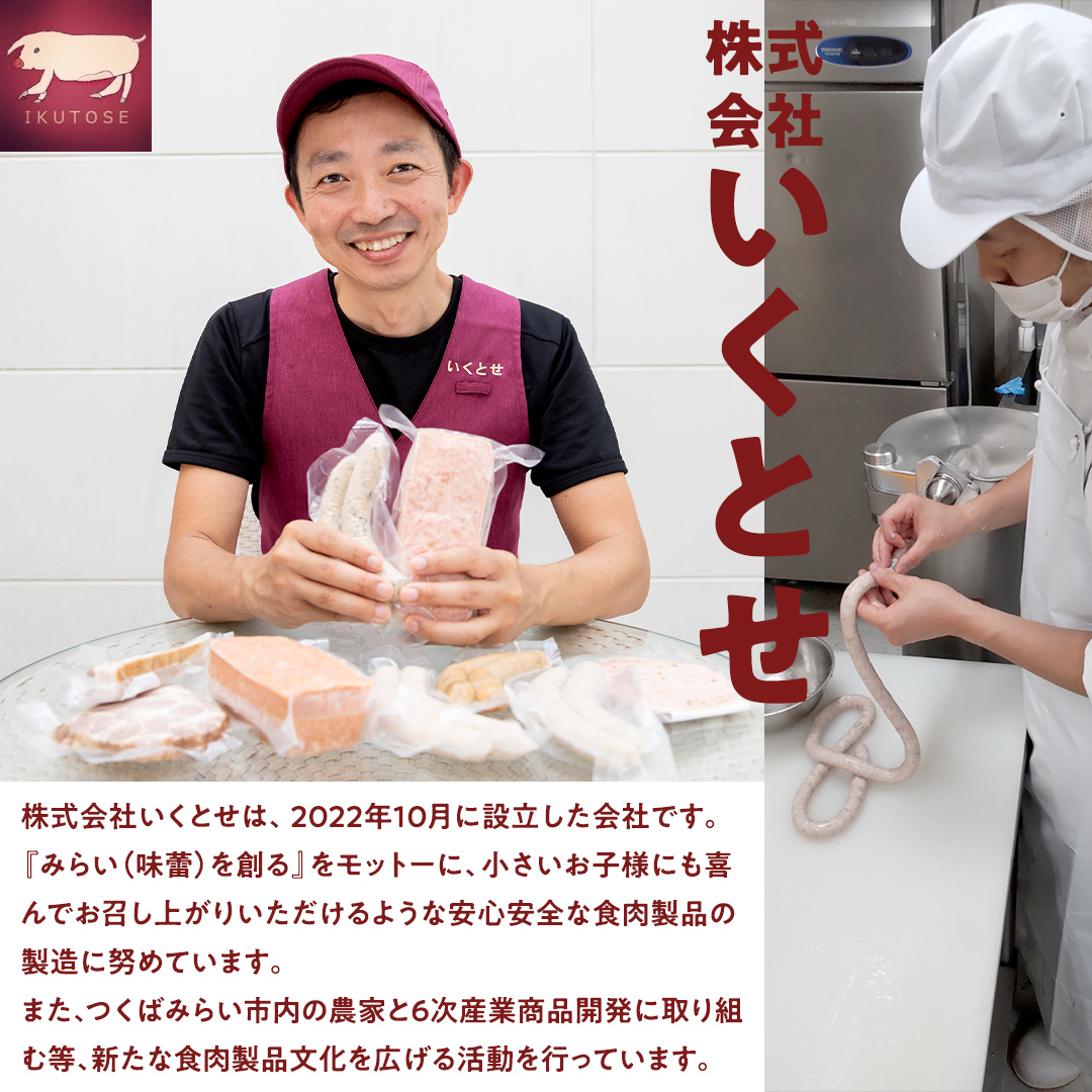 国産 豚 職人が作る ドイツ 細挽き ソーセージ 【 小麦粉 卵