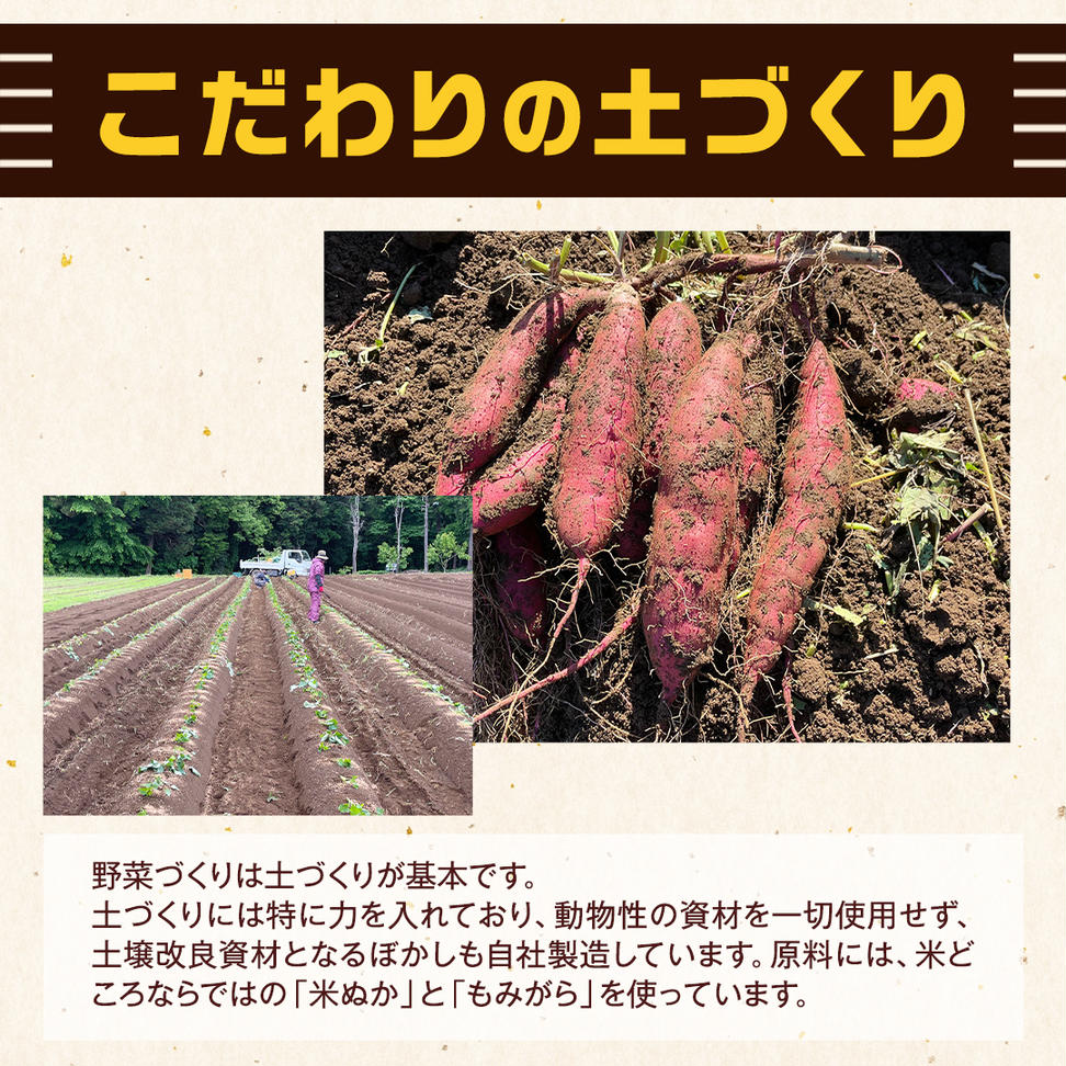 茨城県産 紅はるか 5kg 土付き 無選別 熟成 さつまいも 生芋 