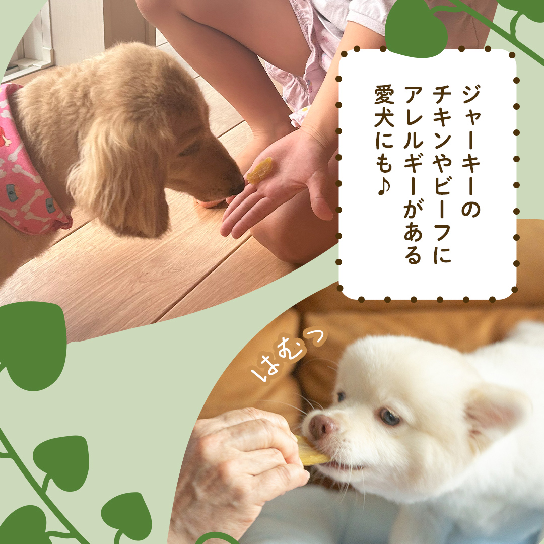 犬のおやつ 国産 干し芋 シロタ 800g (100g × 8袋) 送料無料 保