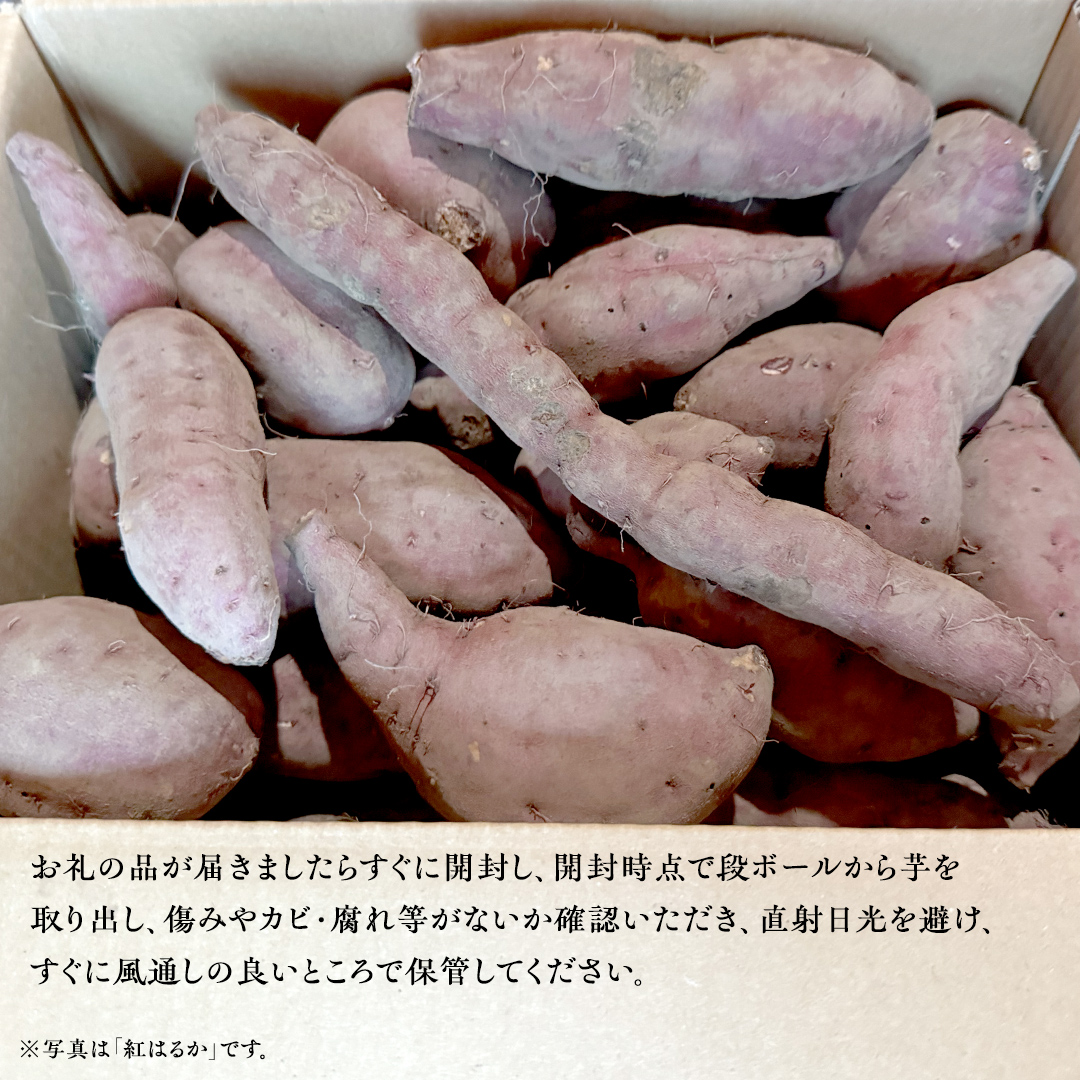 【茨城県産】さつまいも 紅あずま 3kg サイズ無選別品(土付
