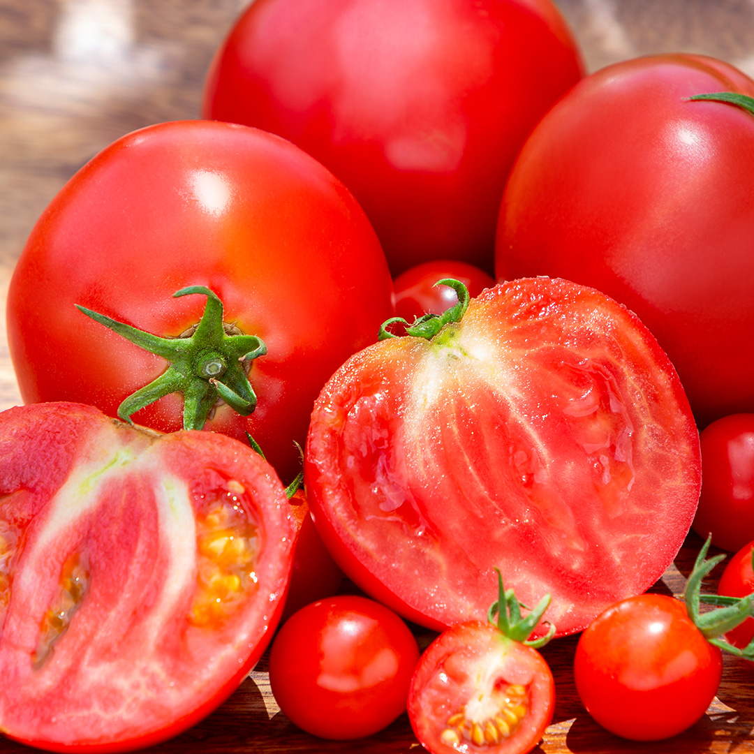 【 2026年 収穫分 先行予約 】 -太陽の味- 渋谷トマト 大玉ト