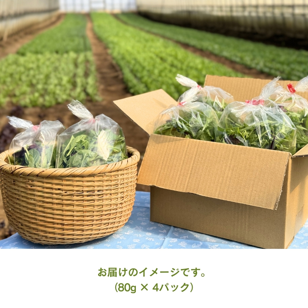 【 定期便 】3か月連続でお届け！ 黒澤農園 の ベビーリー