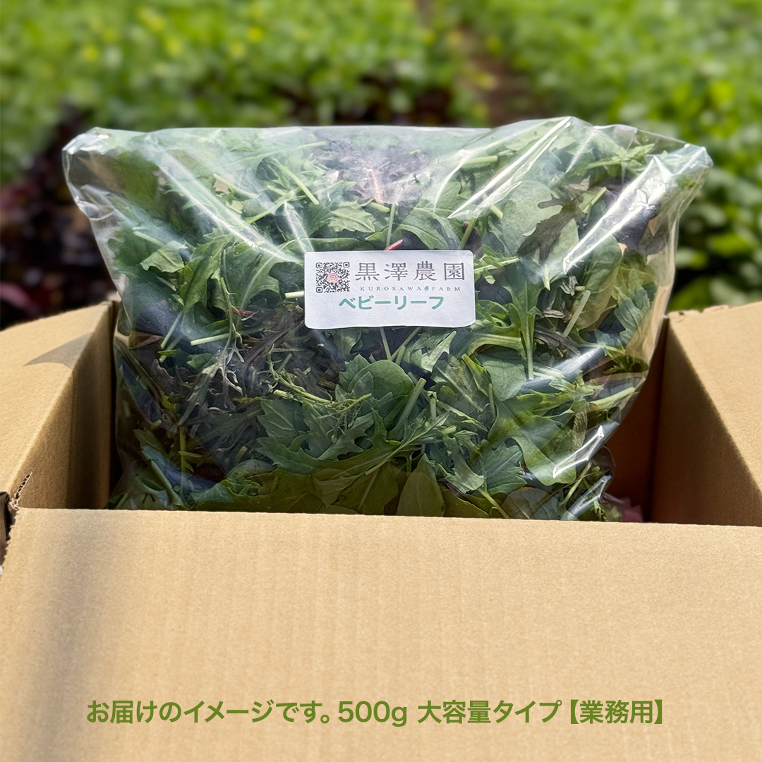【 業務用 】 黒澤農園 の ベビーリーフサラダ 500g 大容量タ