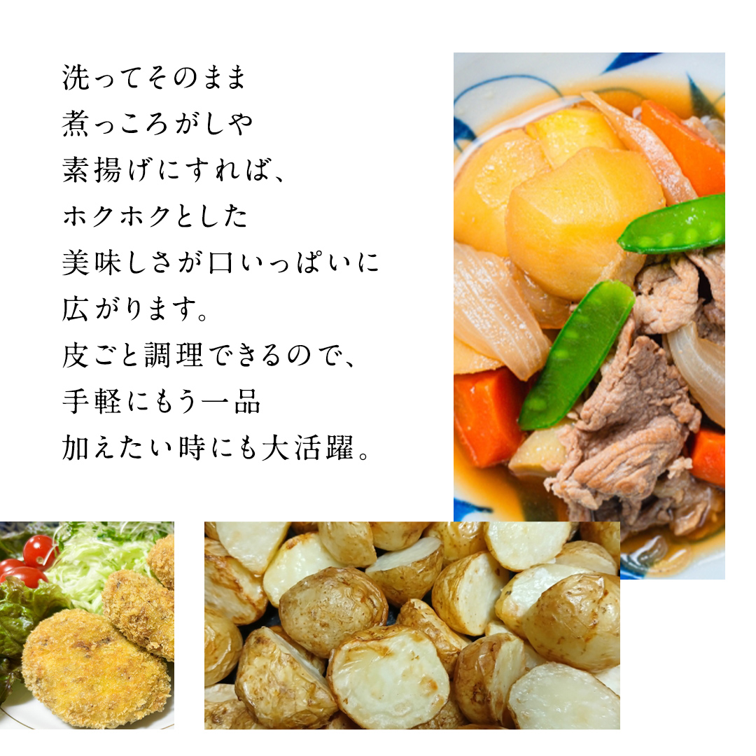 【訳あり】ミニ ジャガイモ ( キタアカリ )  10kg 田んぼで作