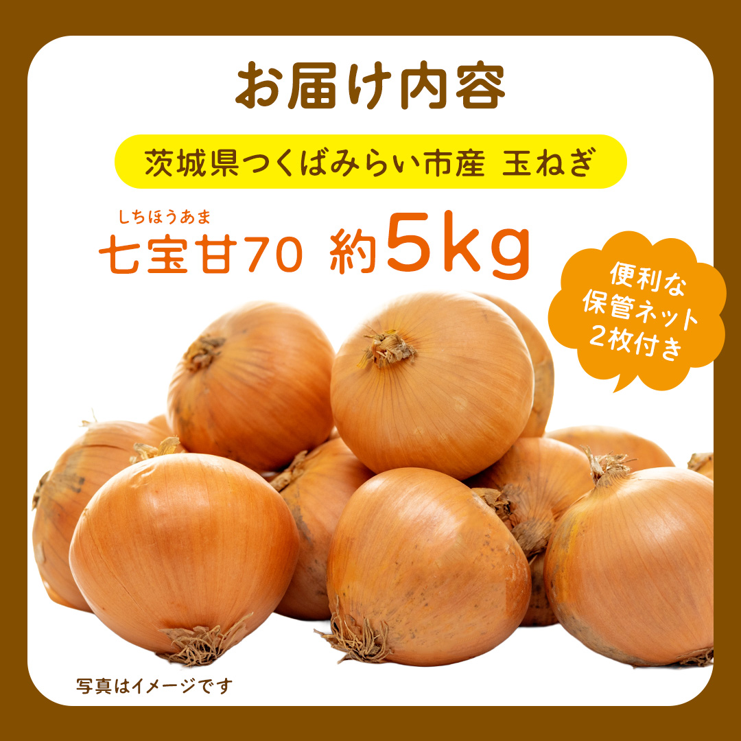 【先行予約】つくばみらい市産たまねぎ 5kg （七宝甘70）保