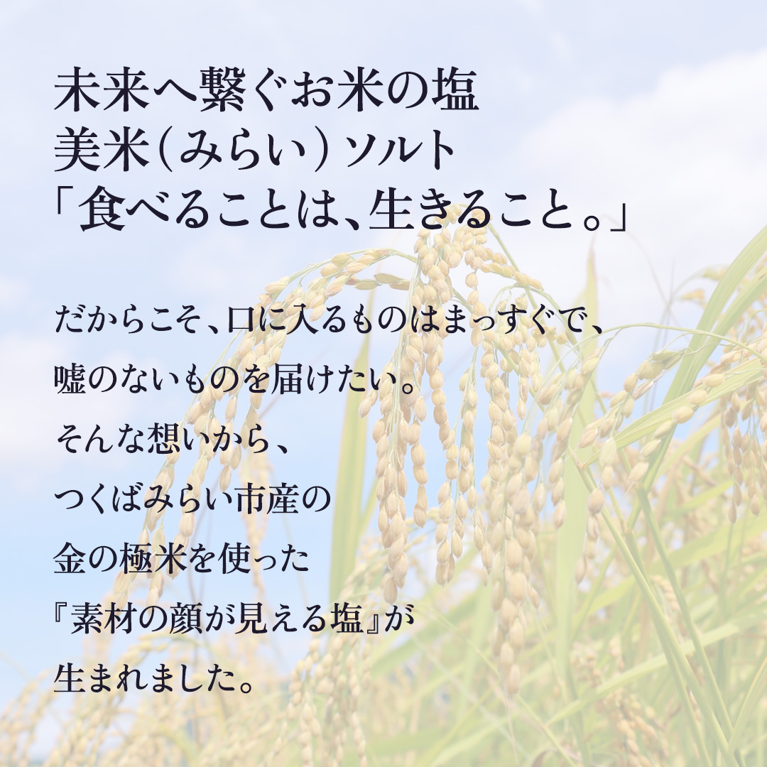 金の恵み米塩 美米～みらい～ 米塩３本セット ソルト しお 