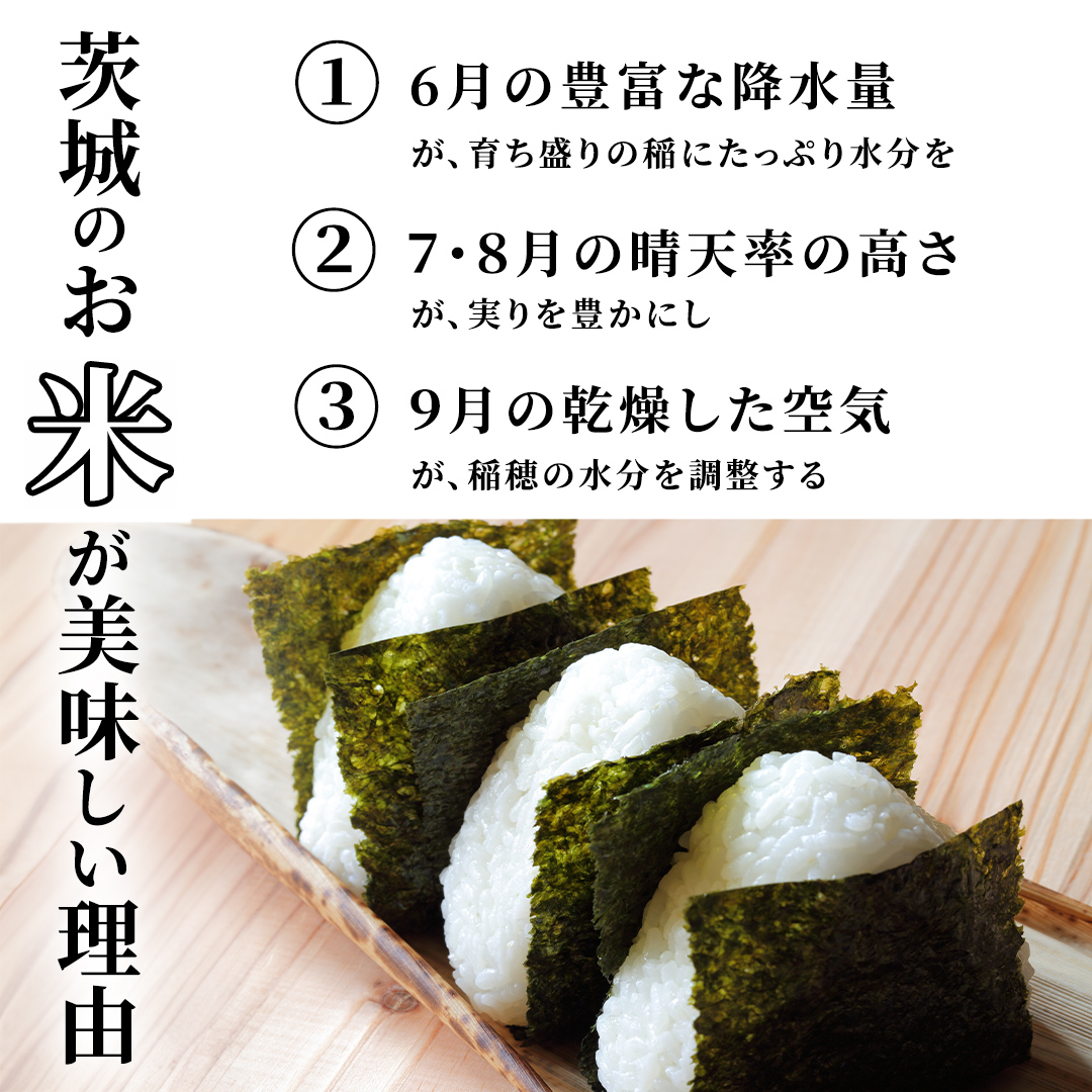 【3月下期出荷】 コシヒカリ 10kg 令和7年産精米 【 数量限定