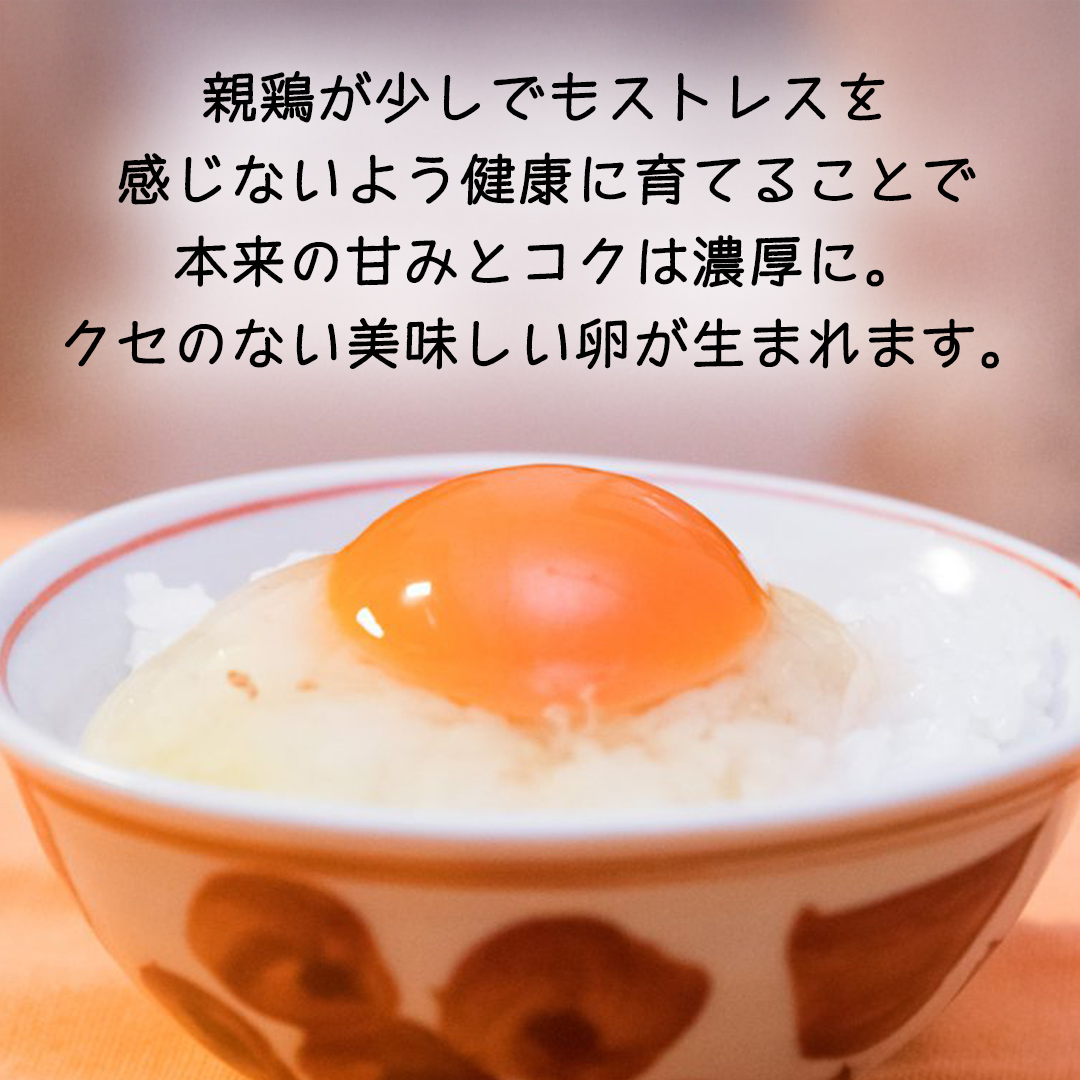 紅プレミアム 卵 50個 （ 40個 入り ＋ 割れ保障 10個 ） 独自