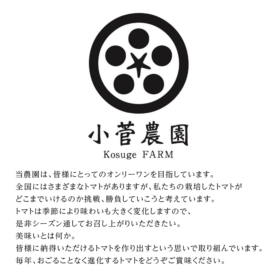フルーツミニトマト 約1kg 【1月10日発送開始】 フルーツミ