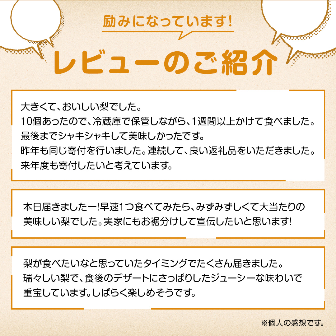 梨 豊水 約10kg 20～32個【2025年9月より発送開始】（茨城県共