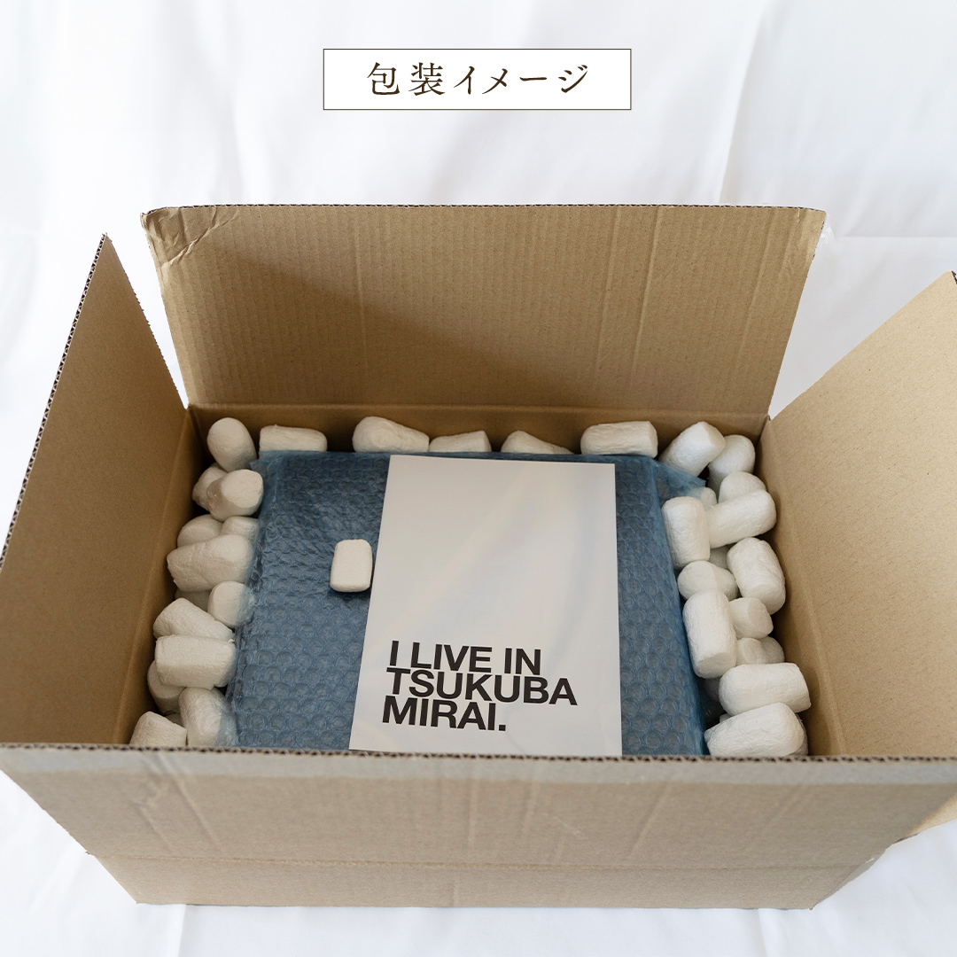 赤いちごと白いちごの宝石箱 18粒 【12月から発送開始】（