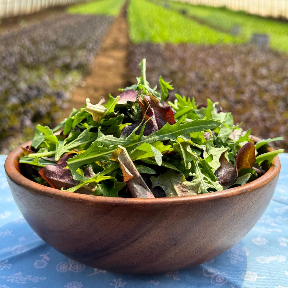 黒澤農園 の ベビーリーフサラダ （ 50g × 6パック ） 使い切