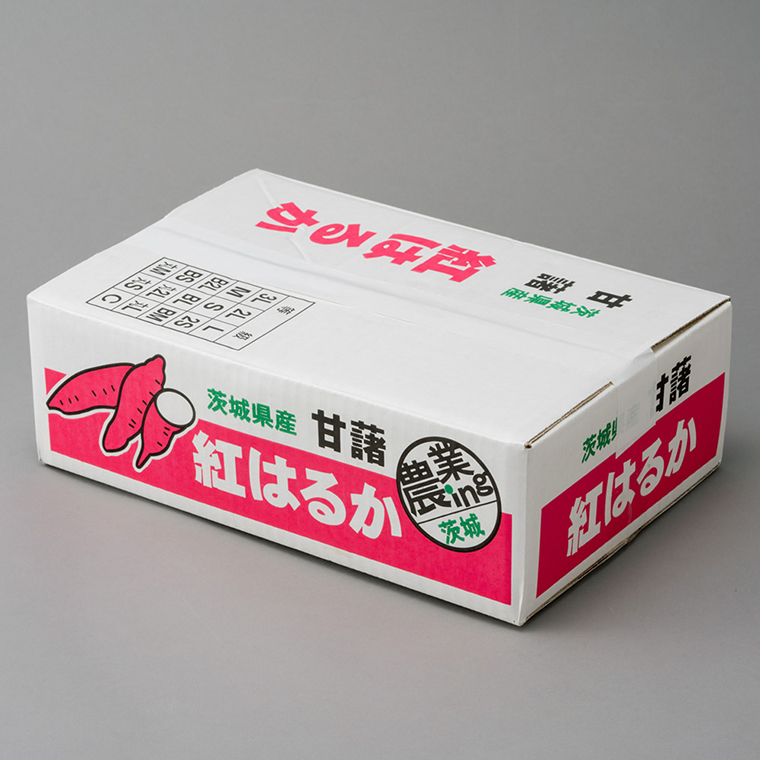 訳あり さつまいも 5kg 小さめ 無選別 （茨城県共通返礼品：