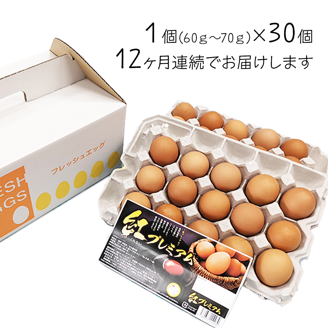 【 定期便 】【 全12回 コース 】 紅プレミアム 卵 30個 （ 25