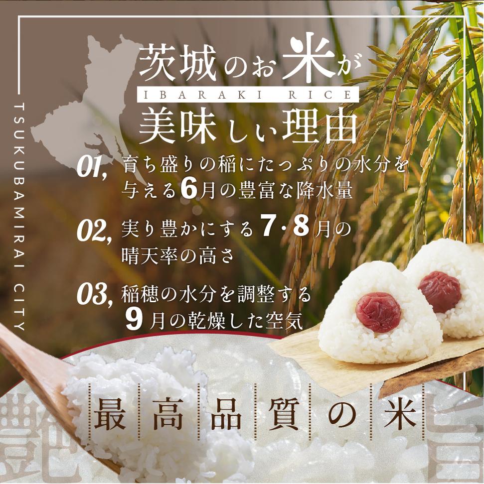 最短翌日出荷!! 茨城県産 ミルキークイーン 10kg ( 5kg ×2) 五