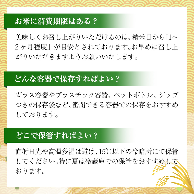 【新米先行予約開始！ / 12月上旬出荷分】《 令和6年産 》茨