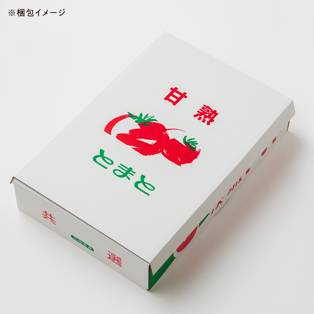 【 2026年 収穫分 先行予約 】 -太陽の味- 渋谷トマト 大玉ト