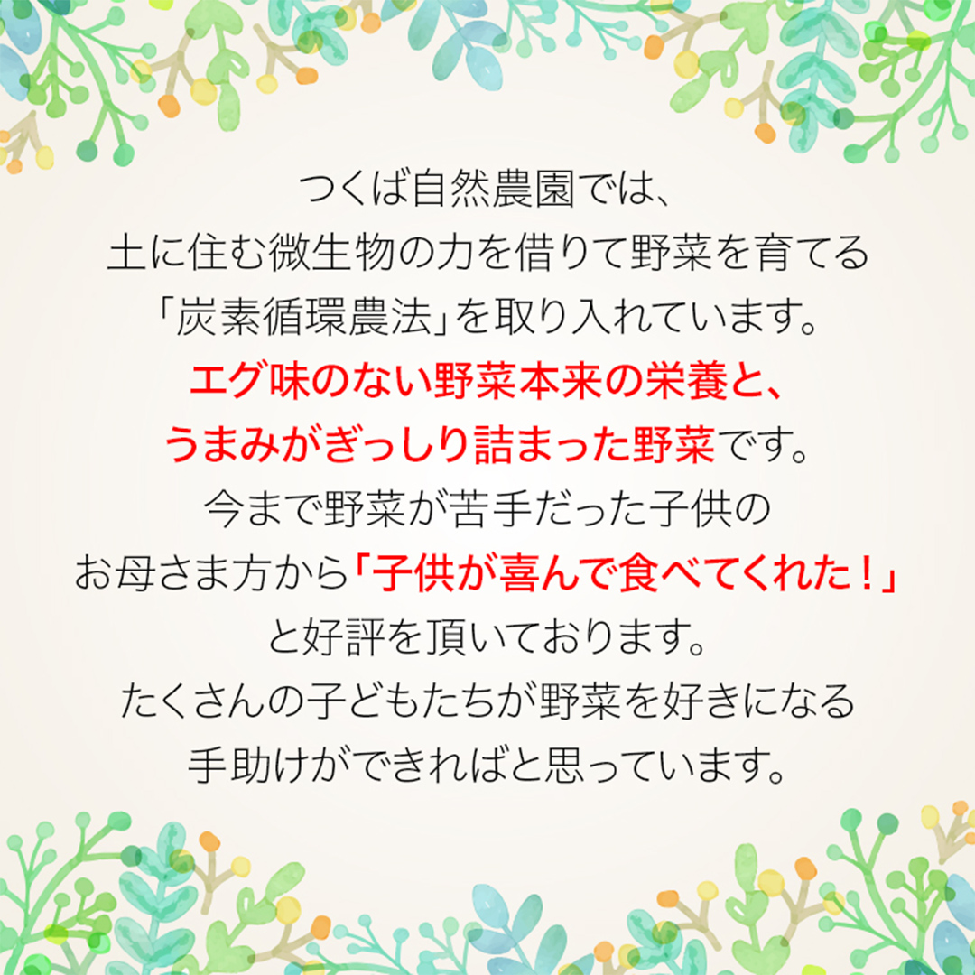 今夏お届け！ 農薬 ・ 肥料 不使用 ミニトマト の 詰め合わ